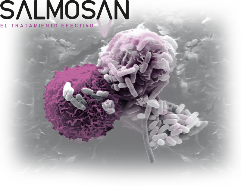 Salmosan image